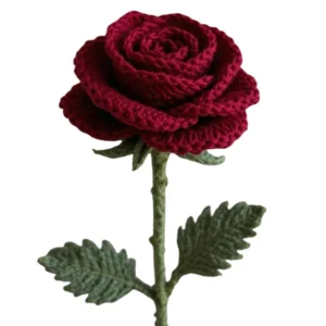 Rosa Individual